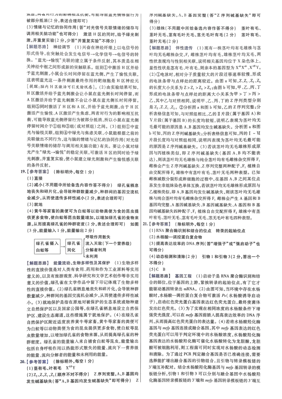2026金考卷百校联盟高考领航卷生物答案一(全国卷单选题版).pdf_第3页