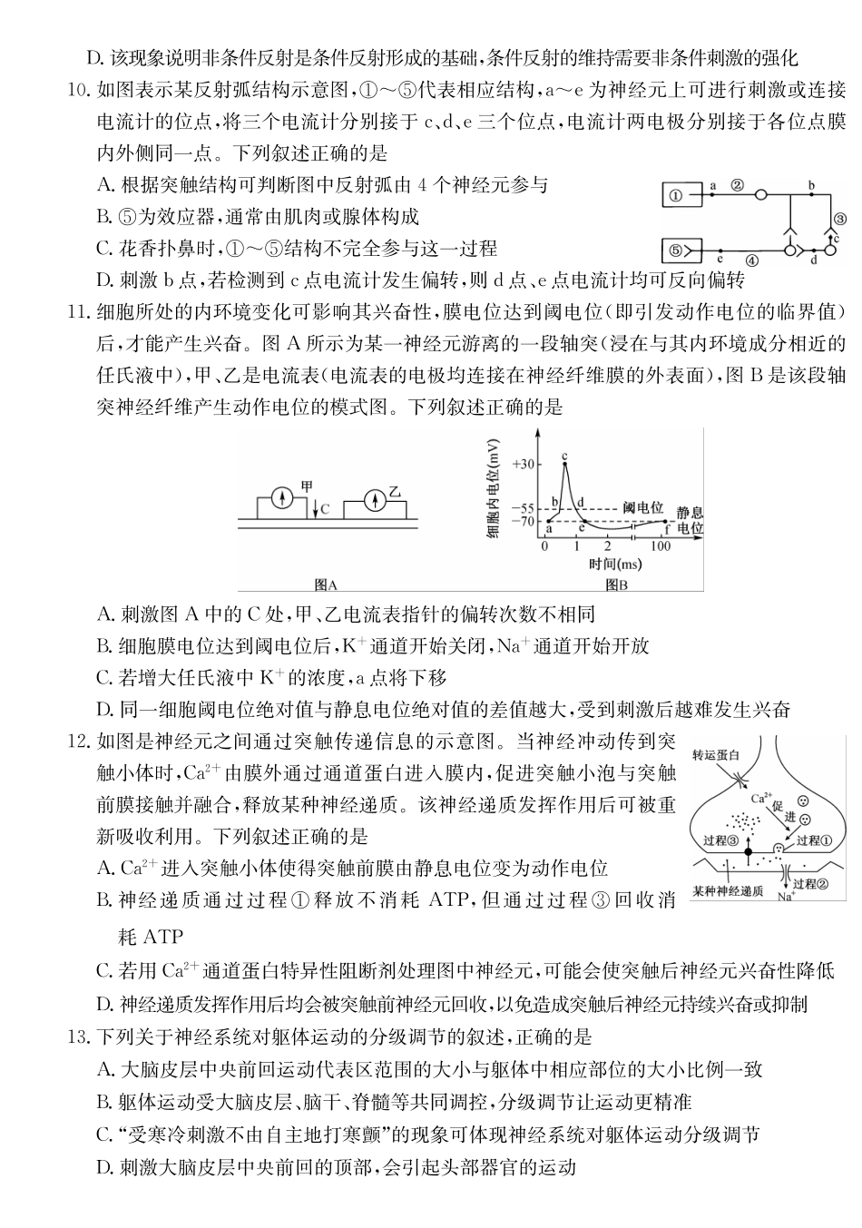 2027届高二年级TOP二十名校十月调研考试（B卷）（26-X-036B）生物.pdf_第3页