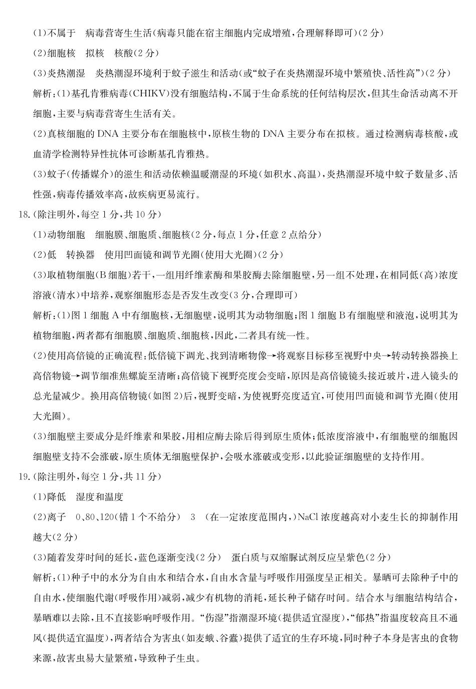 2028届高一年级TOP二十名校十月调研考试生物答案.pdf_第3页