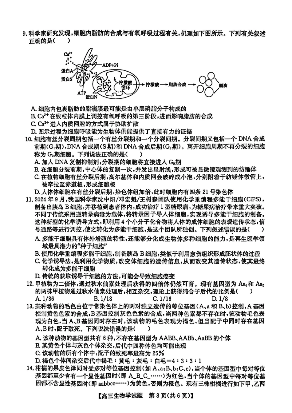 安徽省2025届高三第一次五校(颍上一中、蒙城一中、淮南一中、怀远一中、涡阳一中)联考(.5-.6)生物试卷+答案().pdf_第3页