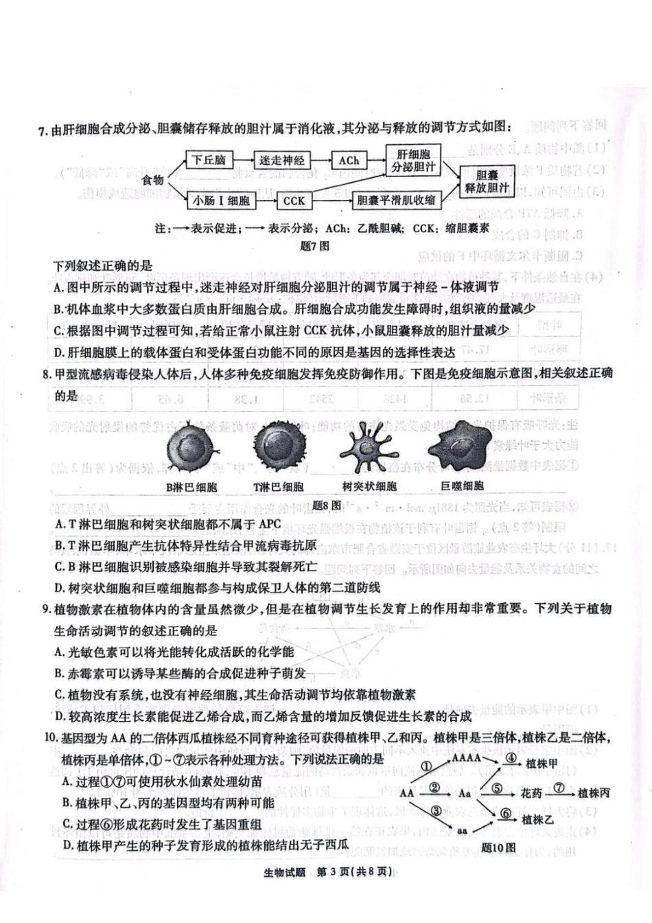 安徽省安徽六校教育研究会2025届高三年级入学素质测试(开学联考)(9.6-9.7)生物试卷+答案.pdf_第3页