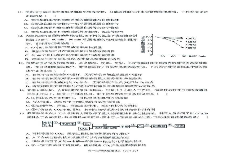 安徽省安庆市2024-2025学年第一学期期末统考高一生物试题及答案高一生物试题.pdf_第2页