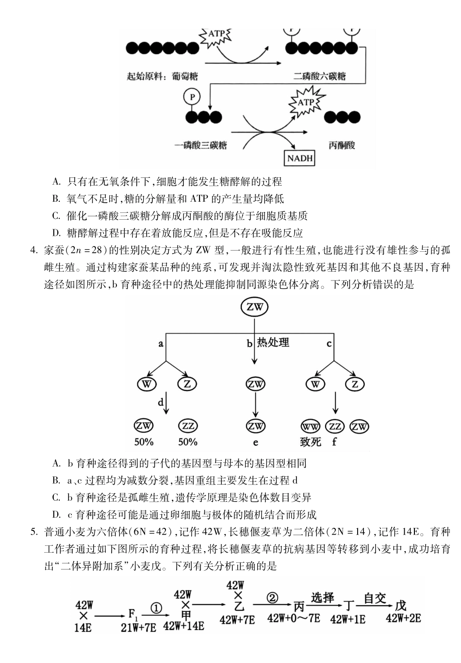 安徽省蚌埠市2025届高三年级上学期8月调研性考试生物试卷.pdf_第2页