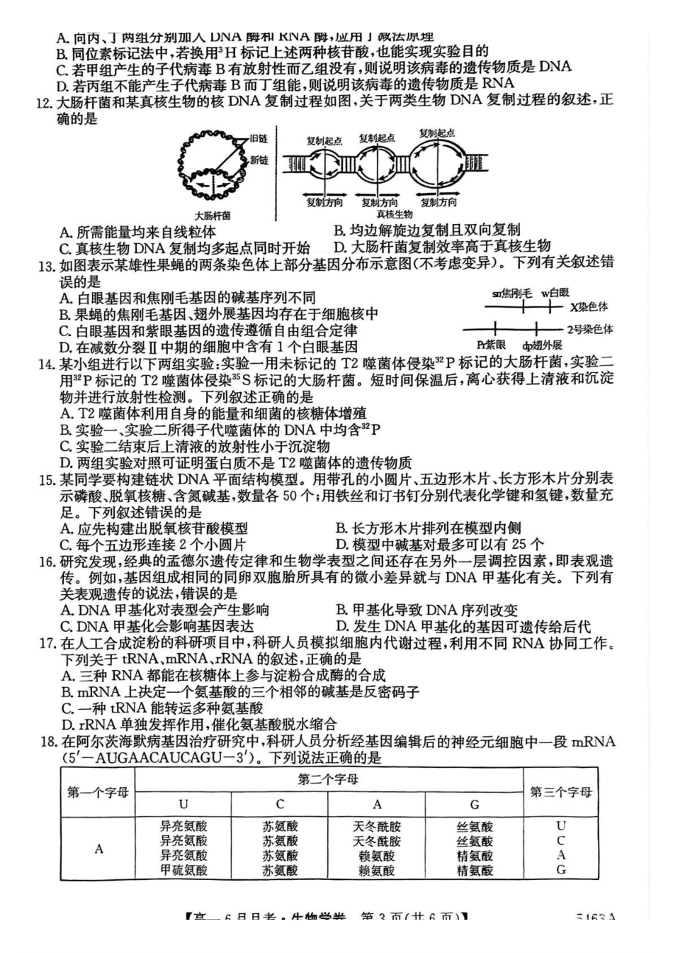 安徽省蚌埠市固镇县毛钽厂实验中学2024-2025学年高一下学期6月月考生物试题.pdf_第3页