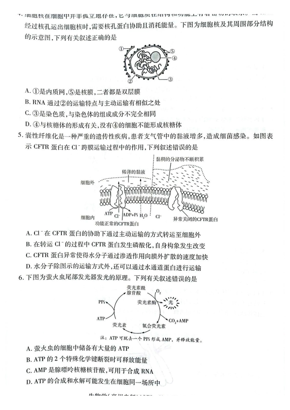 安徽省滁州市2024-2025学年高一下学期3月月考生物试题（有答案）.pdf_第2页