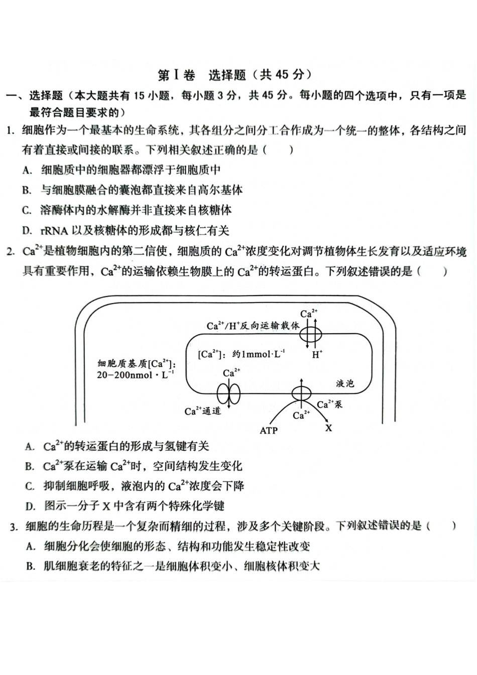 安徽省号卷A0联盟2025届高三上学期8月开学摸底考试(8.27-8.28)生物试卷(版).pdf_第1页
