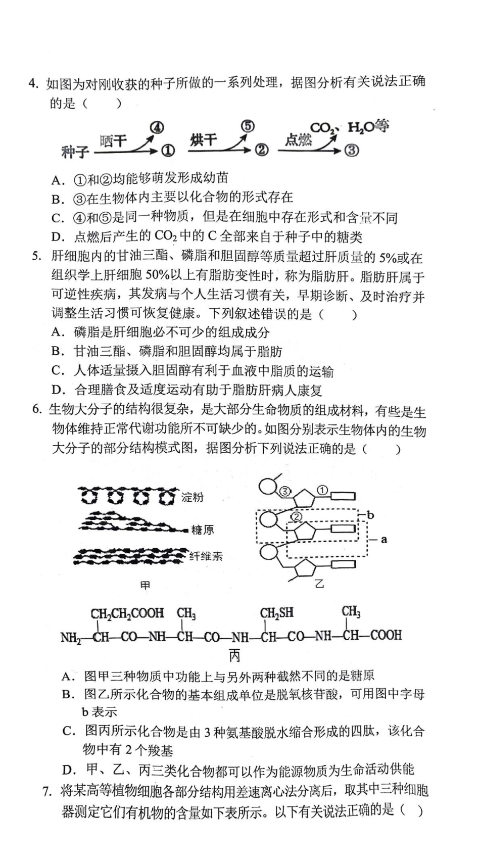 安徽省庐巢联盟2024-2025学年高一上学期第二次月考试题生物含答案.pdf_第2页