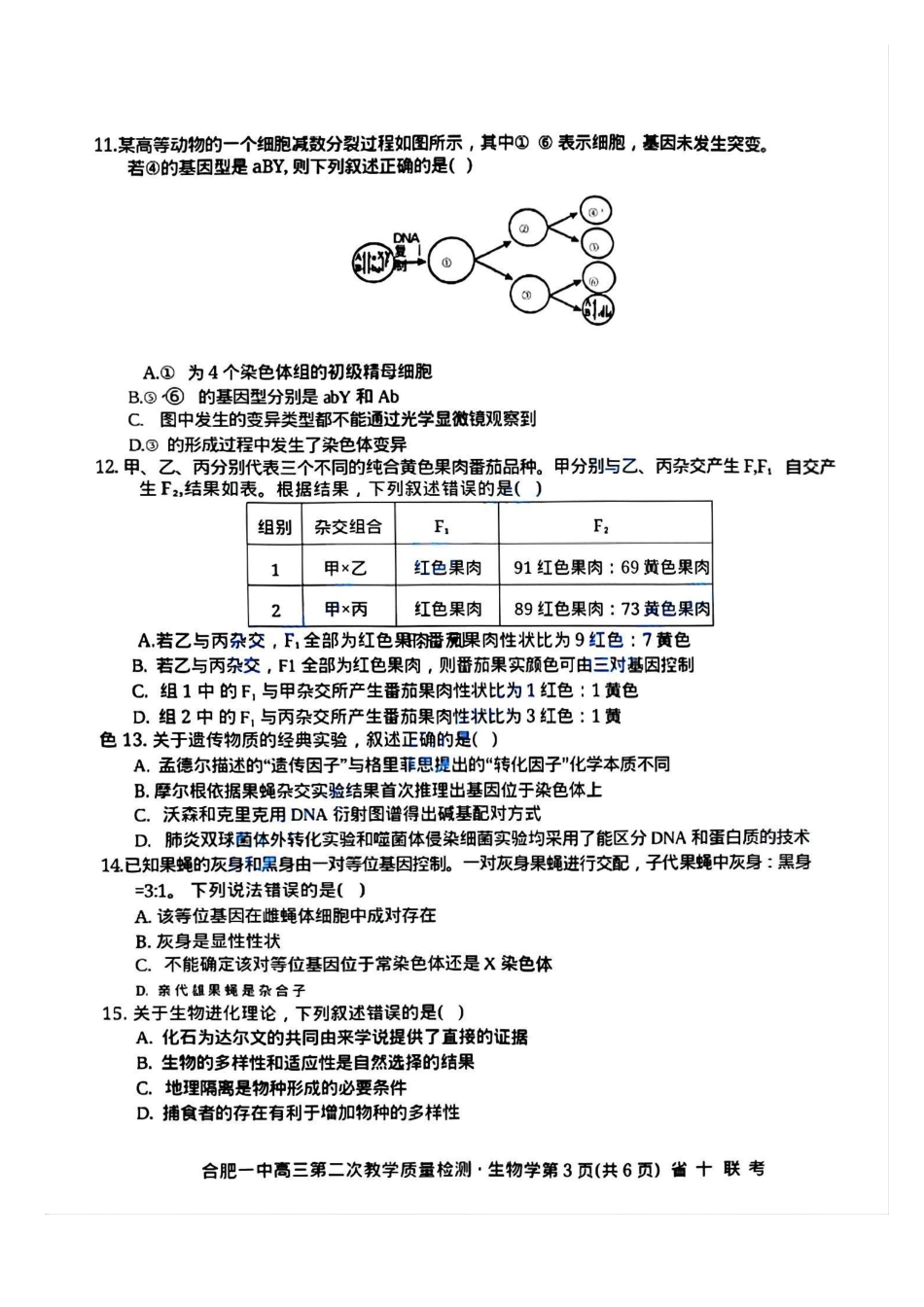 安徽省省十联考(合肥一中)2025届高三年级第二次教学质量检测(省十二联)(.22-.23)生物试卷.pdf_第3页