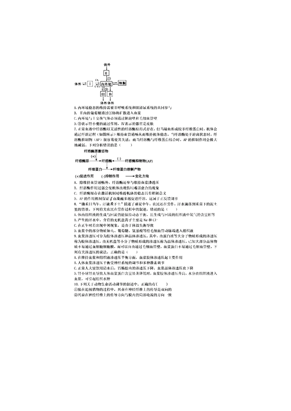 安徽省十联考合肥一中2024年月高二期中联考生物试题.pdf_第2页