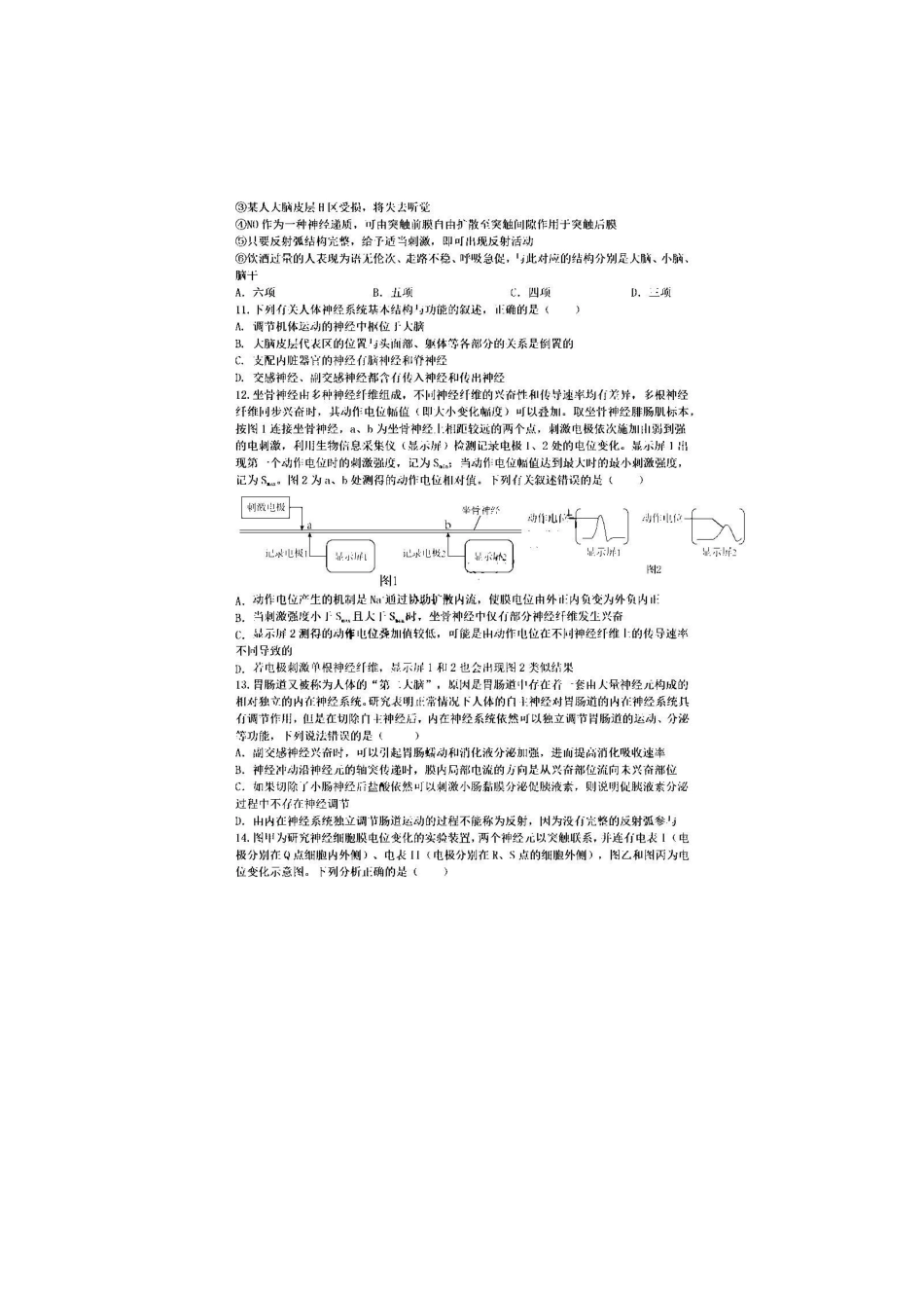 安徽省十联考合肥一中2024年月高二期中联考生物试题.pdf_第3页