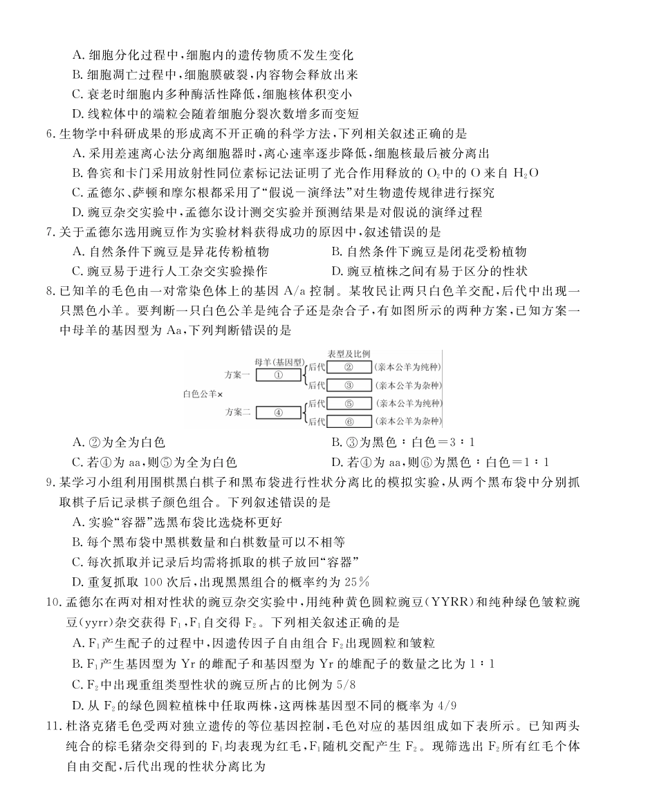 安徽省皖南八校2024-2025学年高一下学期4月期中考试生物(乙).pdf_第2页