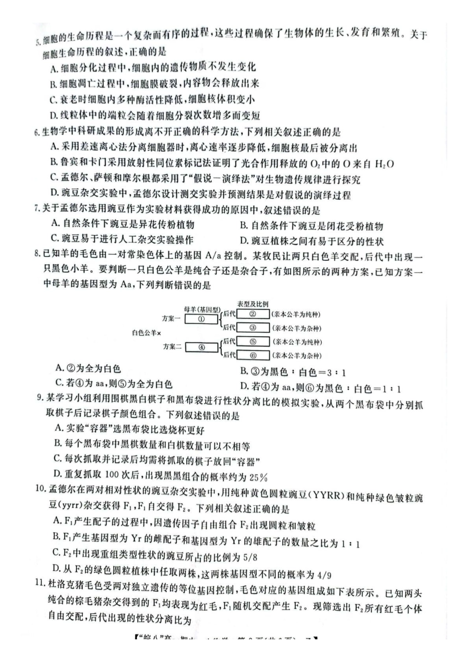 安徽省皖南八校2024-2025学年高一下学期4月期中生物（甲）试题（含答案）.pdf_第2页