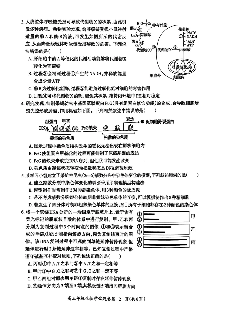 安徽省芜湖市2024—2025学年度高三第一学期教学质量监控高三年级试卷（.20-.22）生物试卷+答案.pdf_第2页