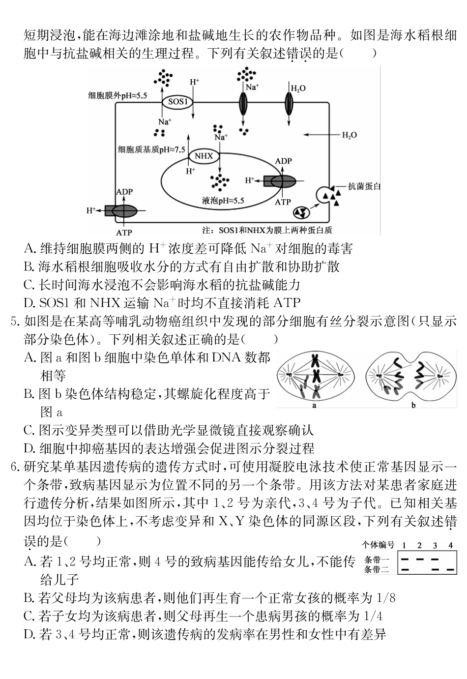 安徽省耀正2024-2025学年2025届高三年级2月名校阶段检测联考（2.9-2.20）生物试卷.pdf_第2页