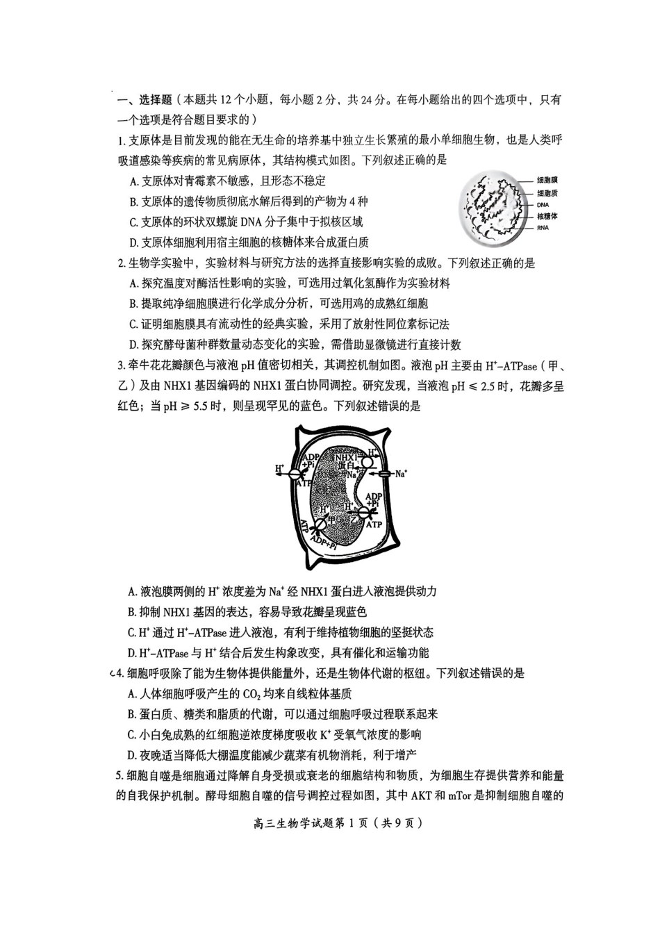 郴州市2026届高三第一次教学质量监测试卷生物.pdf_第2页