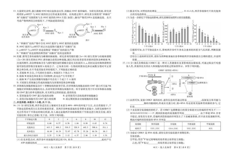 大数据智学领航联盟2026届高三第一次教学质量联合测评生物().pdf_第3页