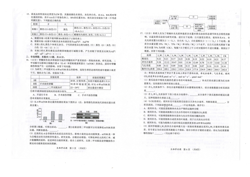 福建省名校联盟2024-2025学年高三上学期期中考试生物.pdf_第3页
