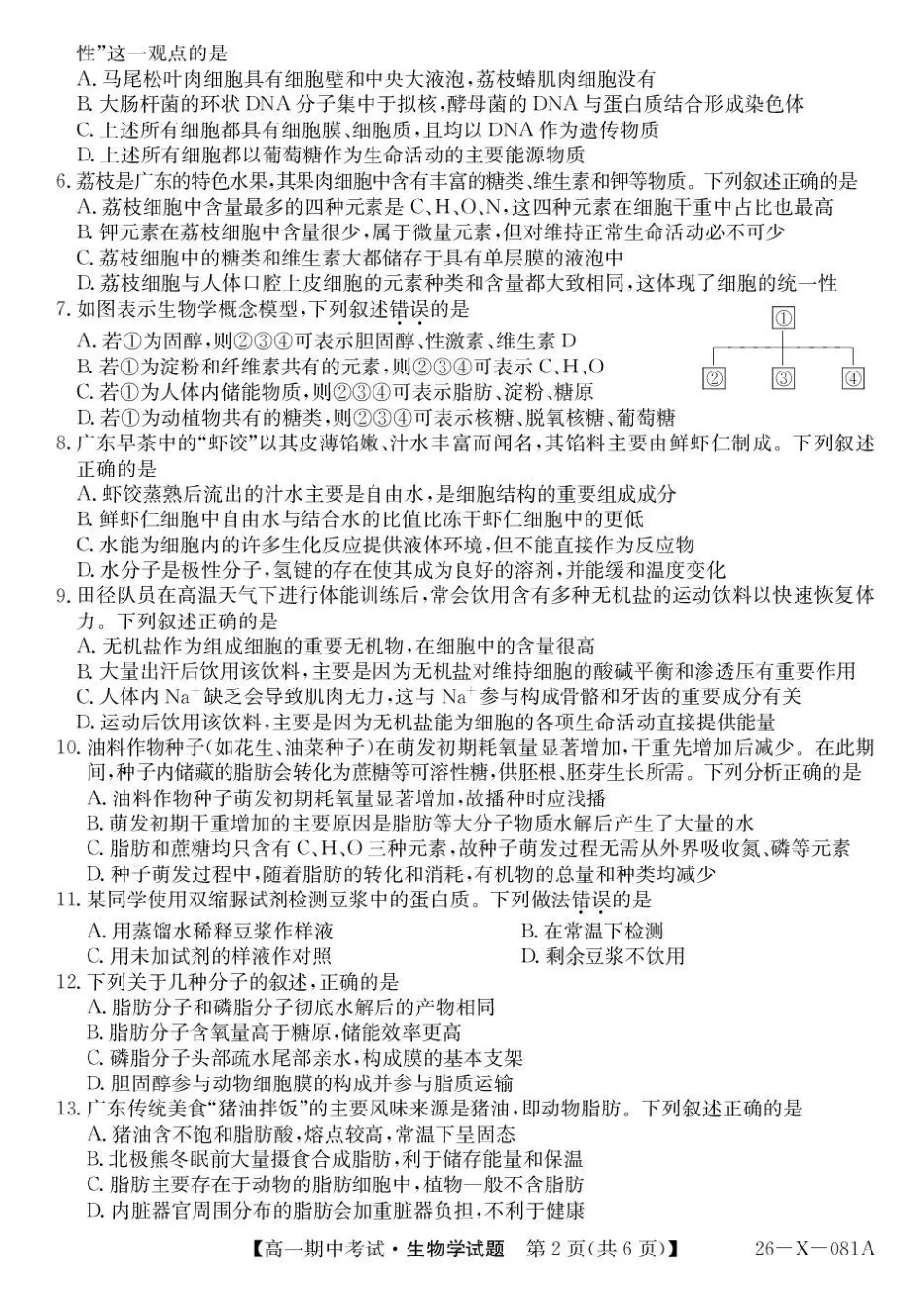 广东省深圳市深圳盟校2025-2026学年高一上学期月期中生物试题含答案.pdf_第2页