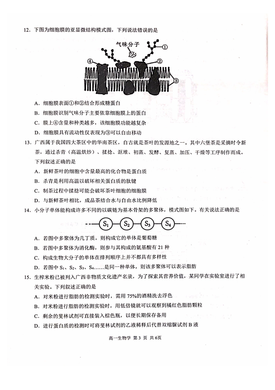 河池十校联体2025-0月考高一生物试卷.pdf_第3页