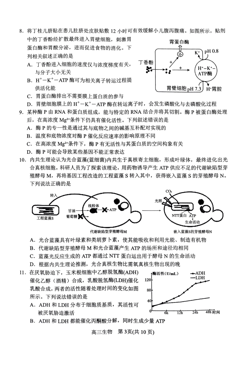 河南省南阳市2024-2025学年高三上学期月期中考试生物试题.pdf_第3页