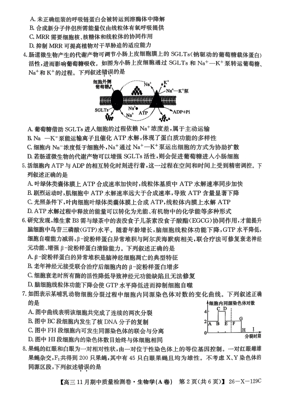 山西三晋卓越联盟（天成大联考）2025-2026高三月期中质量检测生物试卷（含答案）.pdf_第2页