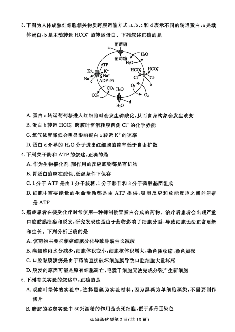 生物试卷【黑吉辽蒙卷】辽宁省名校联盟2025年高三上学期月联合考试(.0-.).pdf_第2页