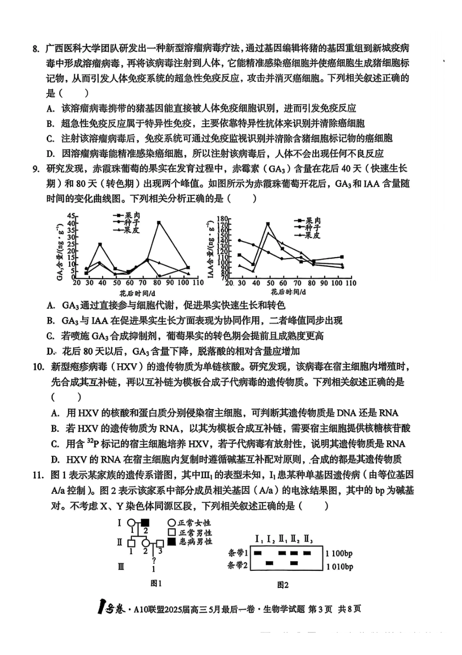 生物试卷安徽省皖智号卷A0联盟2025届高三5月最后一卷(5.6-5.7).pdf_第3页