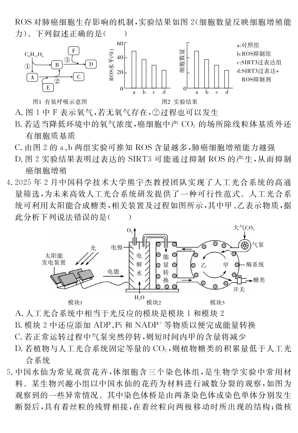 生物学试题卷安徽省耀正文化2025届高三年级5月名校名师模拟卷(九)(5.28-5.29).pdf_第2页