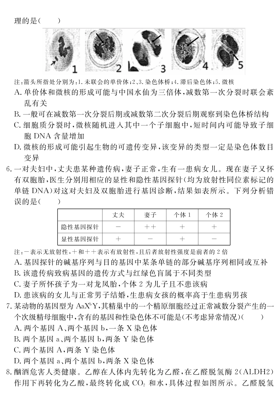 生物学试题卷安徽省耀正文化2025届高三年级5月名校名师模拟卷(九)(5.28-5.29).pdf_第3页