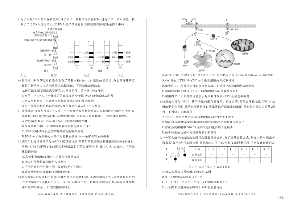 四川省百师联盟2026届高三年级月阶段检测生物.pdf_第2页