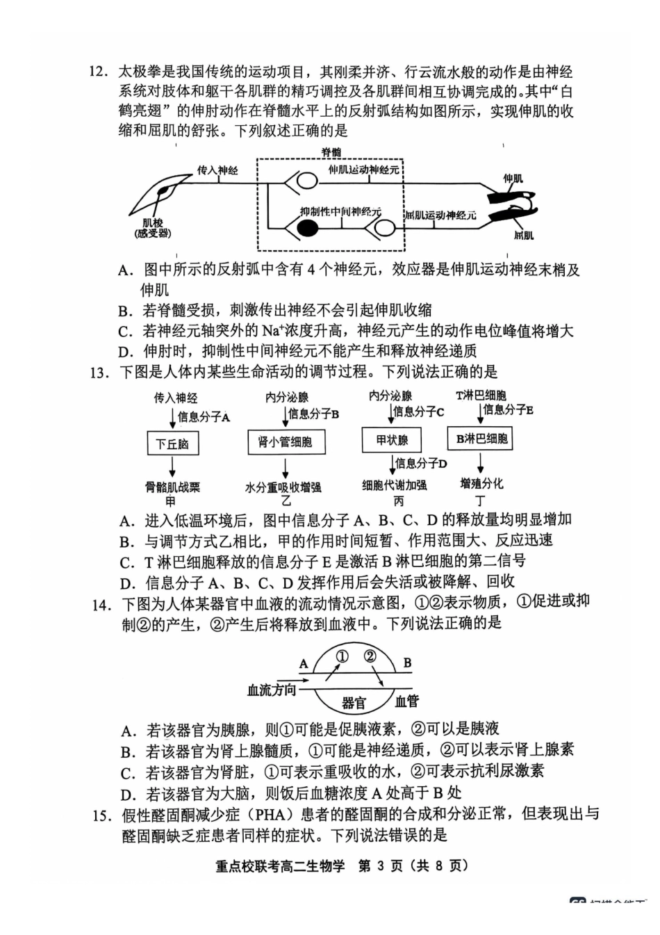 天津市五区县重点校联考2024-2025学年高二上学期月期中生物试题含答案.pdf_第3页