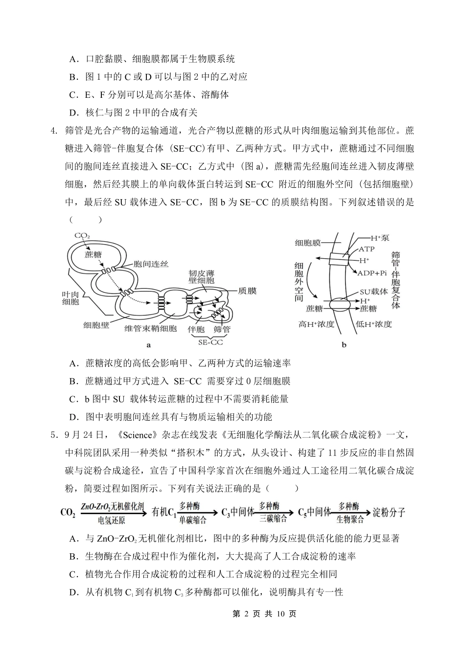 重庆市名校联盟2025-2026学年度第一期第一次联合考试生物.pdf_第2页