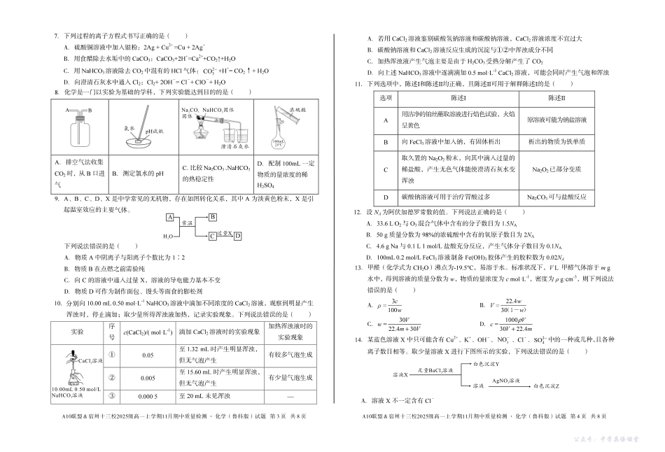 【化学】A10联盟&宿州十三校2025级高一上学期11月期中质量检测化学(鲁科版).pdf_第2页