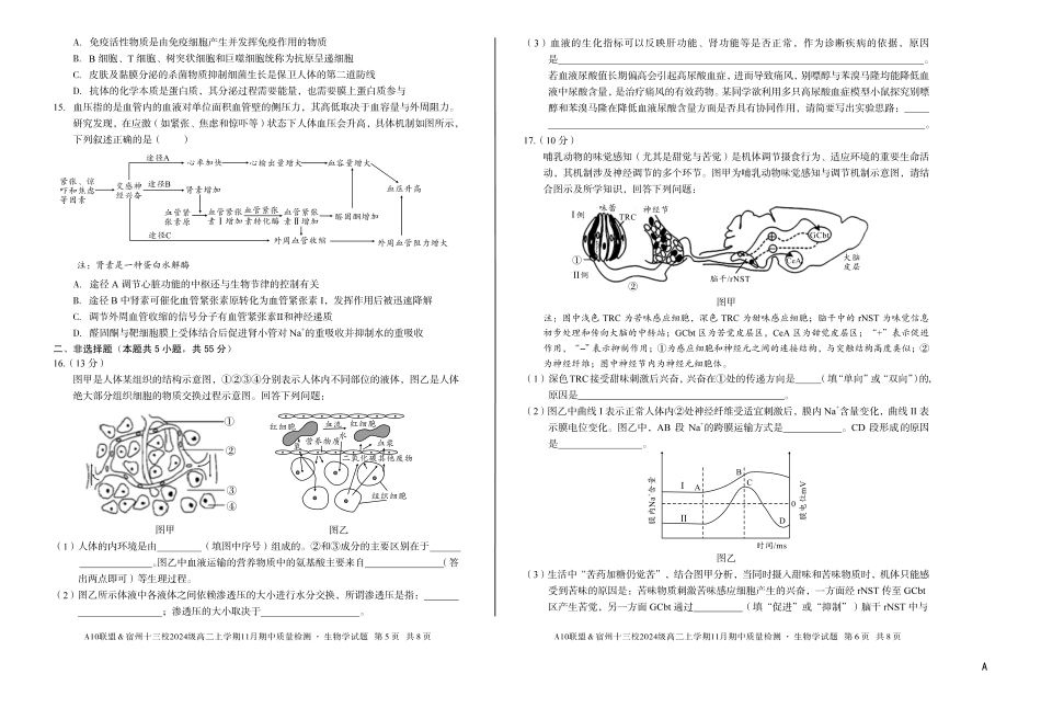 【生物】(A卷)A10联盟&宿州十三校2024级高二上学期11月期中质量检测生物学A.pdf_第3页