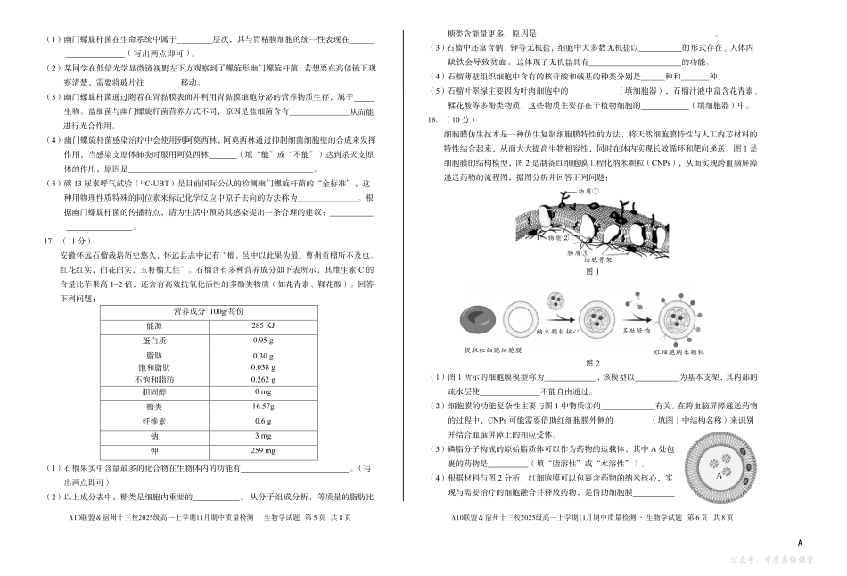 【生物】(A卷)A10联盟&宿州十三校2025级高一上学期11月期中质量检测生物学A.pdf_第3页