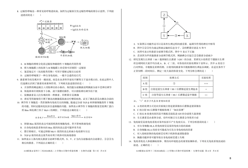 【生物】(B卷)A10联盟&宿州十三校2024级高二上学期11月期中质量检测生物学b.pdf_第2页