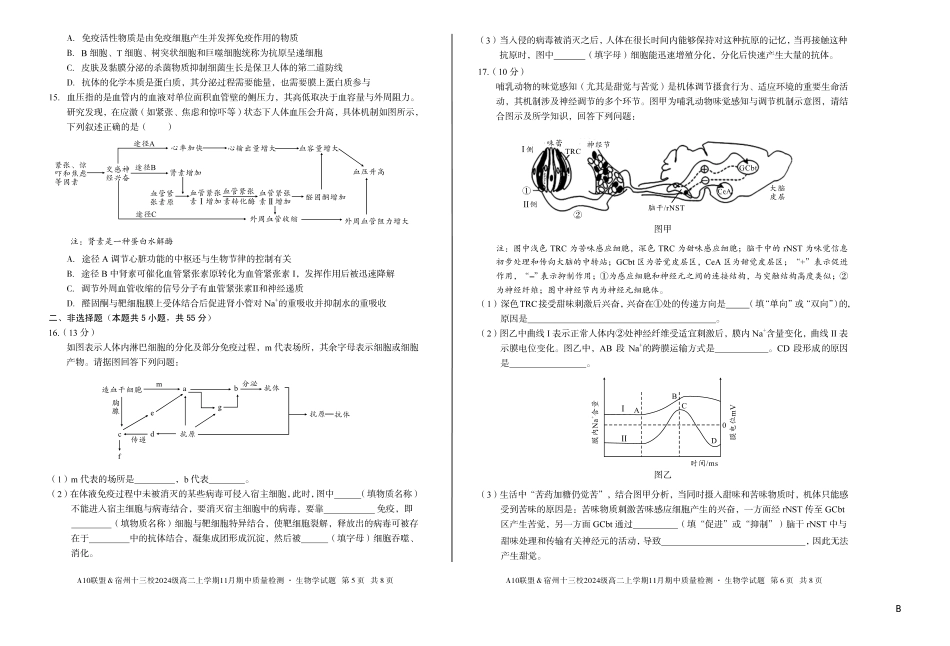 【生物】(B卷)A10联盟&宿州十三校2024级高二上学期11月期中质量检测生物学b.pdf_第3页