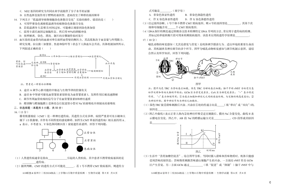【生物】（C卷）A10联盟＆宿州十三校2024级高二上学期11月期中质量检测生物学c.pdf_第3页