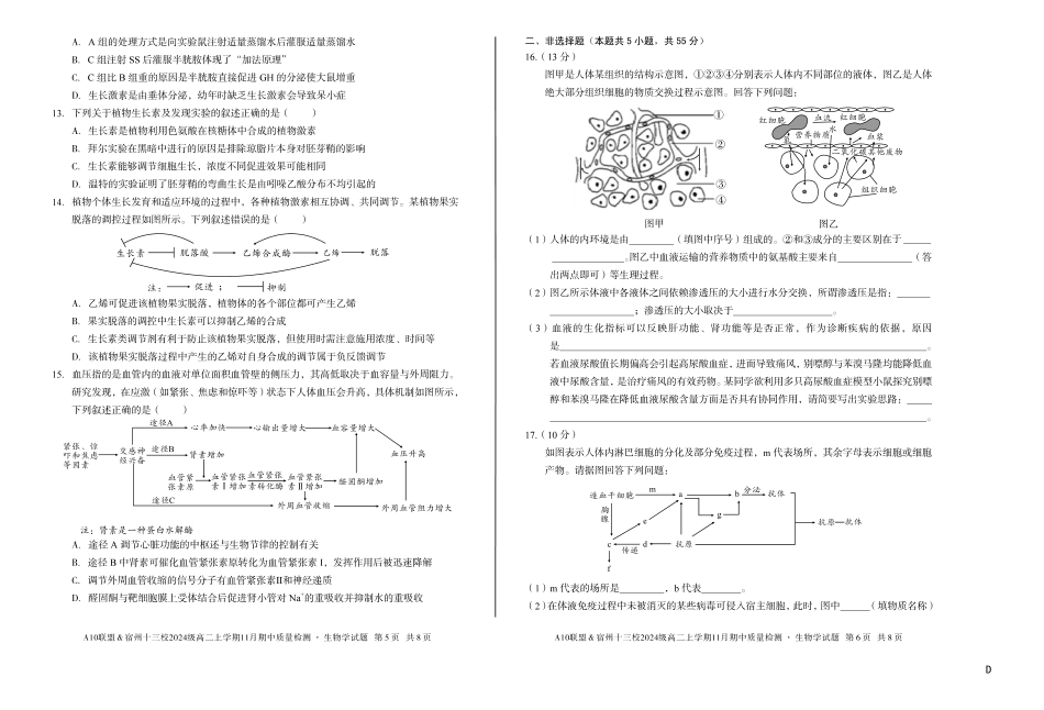 【生物】（D卷）A10联盟＆宿州十三校2024级高二上学期11月期中质量检测生物学d.pdf_第3页