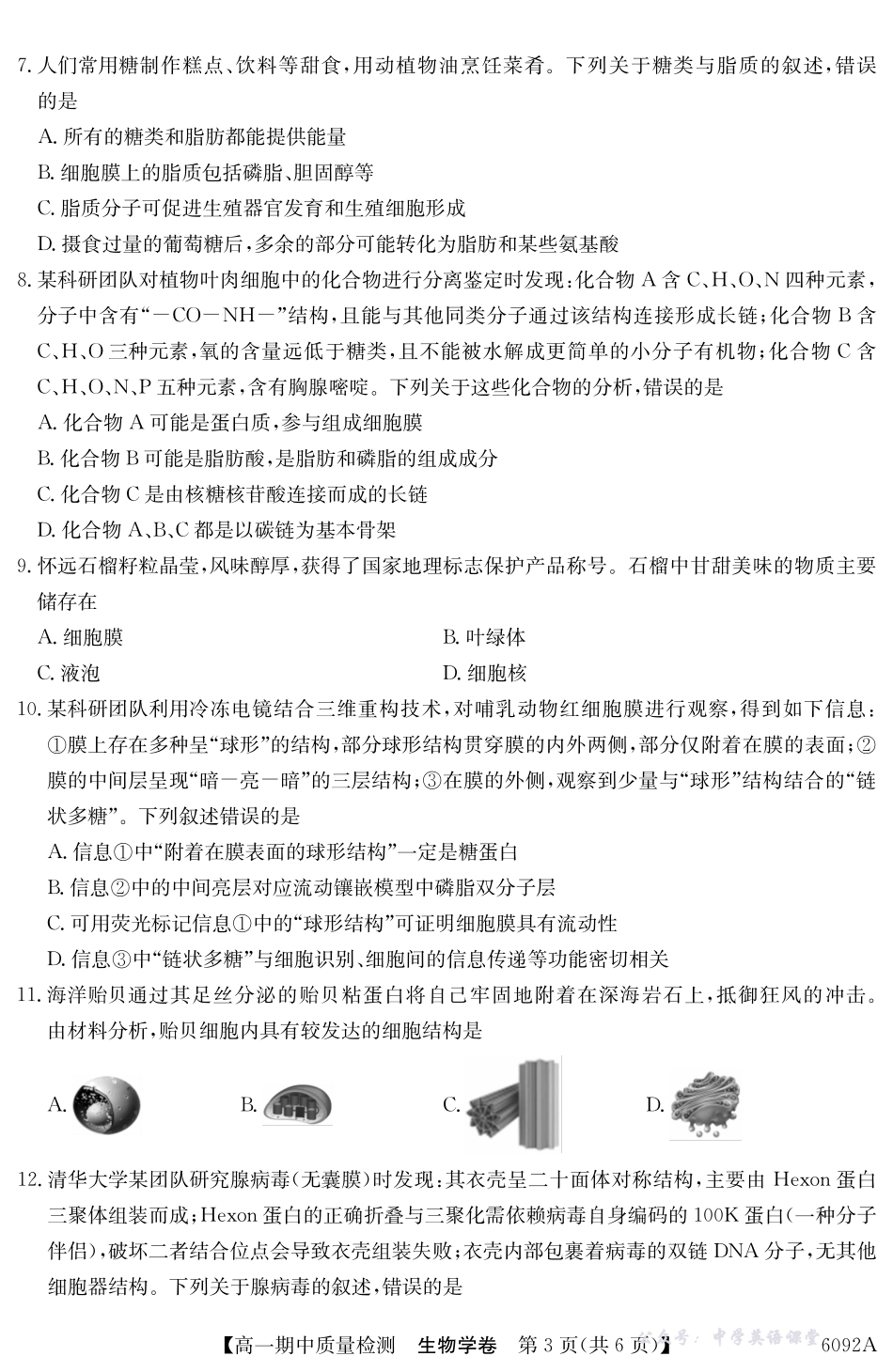 【生物】安徽省华师联盟2025~2026学年秋季学期高一期中质量检测（6092A）.pdf_第3页