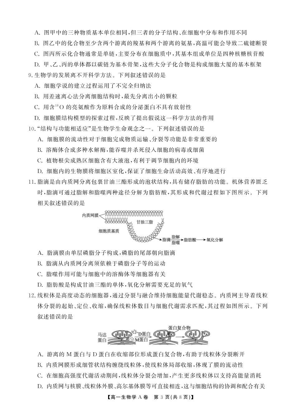 【生物A卷】安徽省鼎尖名校大联考2025-2026学年上学期高一11月期中考试.pdf_第3页