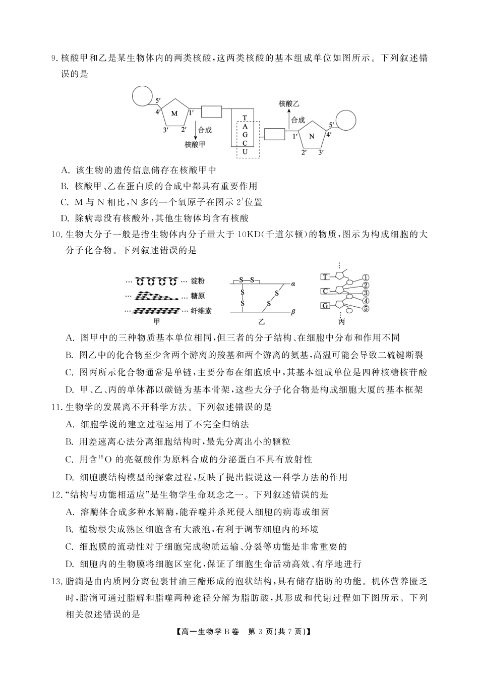 【生物B卷】安徽省鼎尖名校大联考2025-2026学年上学期高一11月期中考试.pdf_第3页