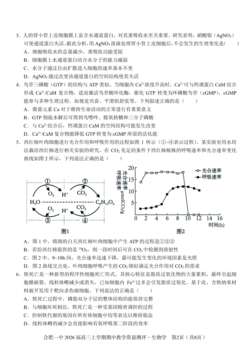 【生物试卷】安徽省合肥一中2026届高三上学期期中教学质量测评(11.13-11.14).pdf_第2页