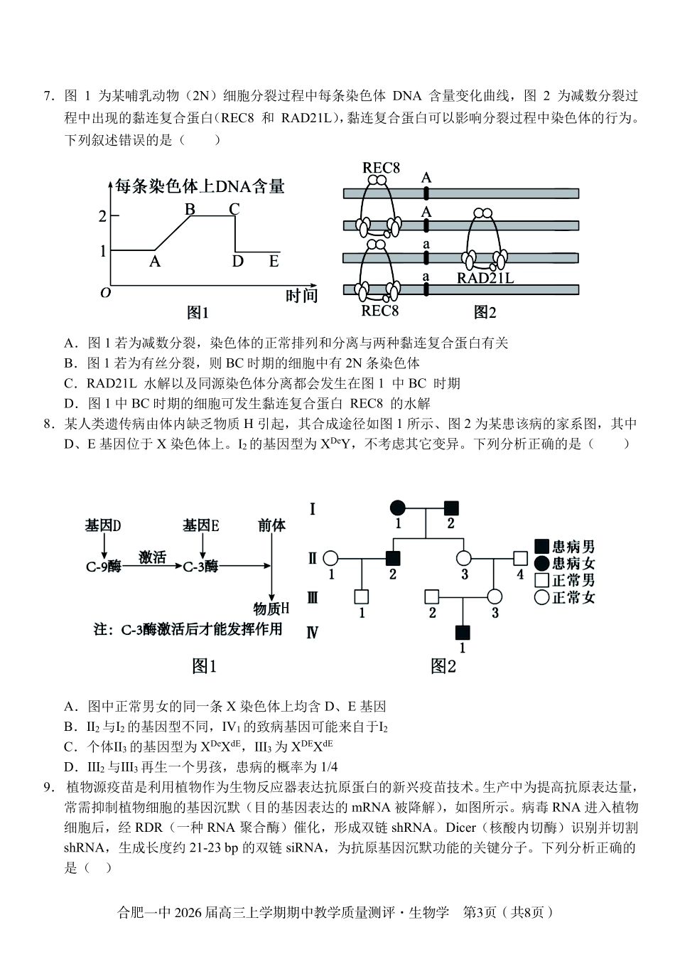 【生物试卷】安徽省合肥一中2026届高三上学期期中教学质量测评(11.13-11.14).pdf_第3页