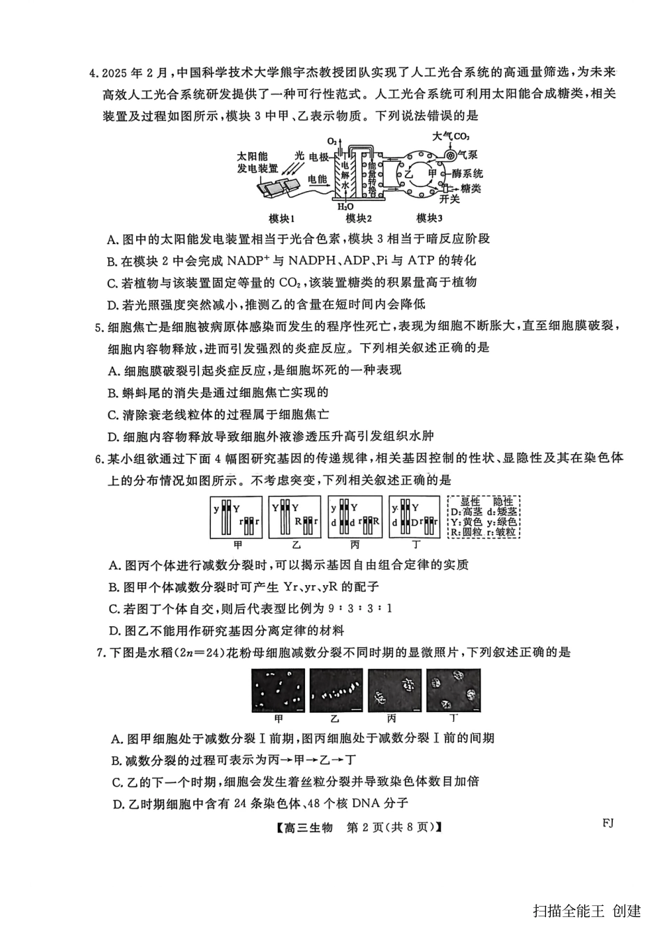 【生物试卷】福建高三2025-2026学年百校11月联考.pdf_第2页