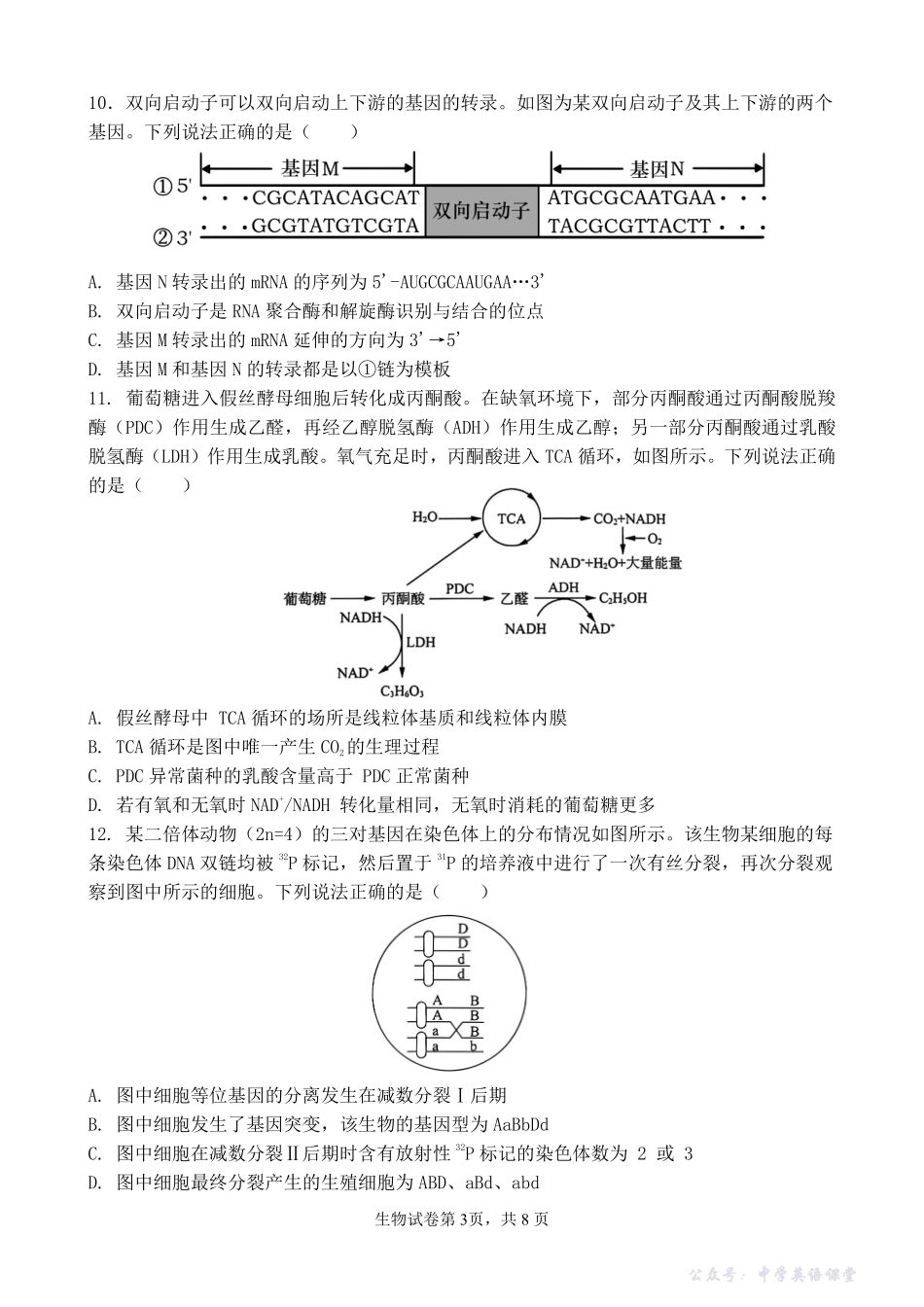 【生物试卷+答案】-福建省福州市第一中学2025-2026学年第一学期第一学段模块考试暨高三上学期11月期中考试(11.10-11.11).pdf_第3页