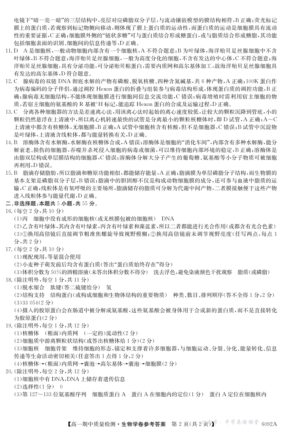 【生物学DA】安徽省华师联盟2025~2026学年秋季学期高一期中质量检测（6092A）.pdf_第2页