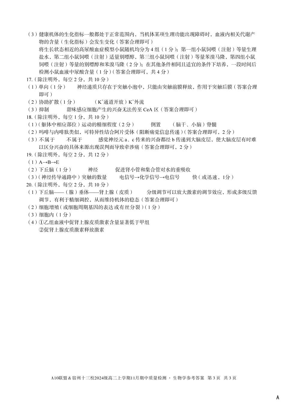 【生物学答案】(A卷)A10联盟&宿州十三校2024级高二上学期11月期中质量检测生物学答案A.pdf_第3页