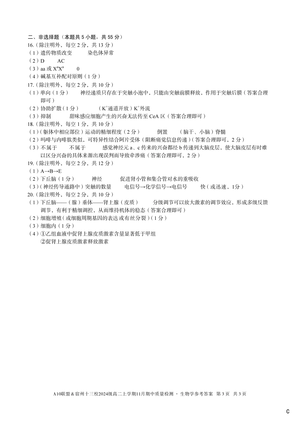 【生物学答案】（C卷）A10联盟＆宿州十三校2024级高二上学期11月期中质量检测生物学答案c.pdf_第3页