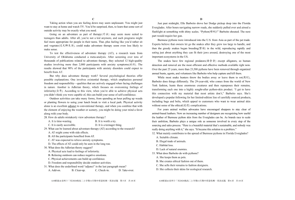 【英语】A10联盟&宿州十三校2024级高二上学期11月期中质量检测英语.pdf_第3页